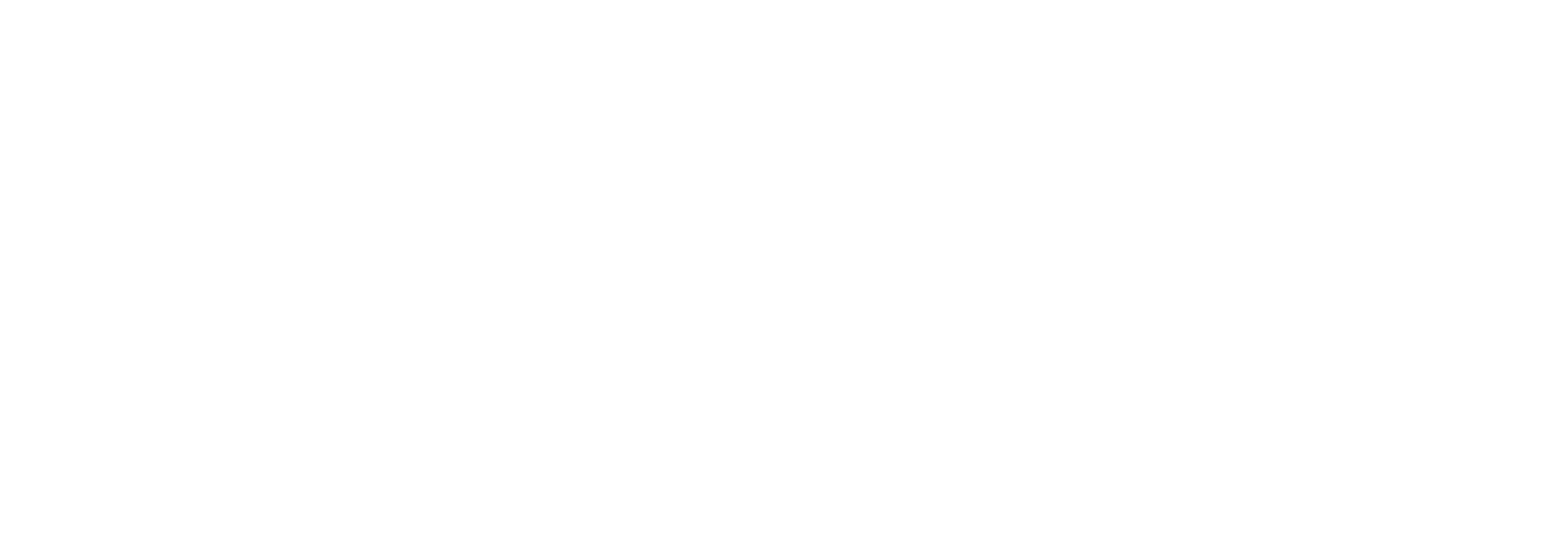 AI Pirates Logo